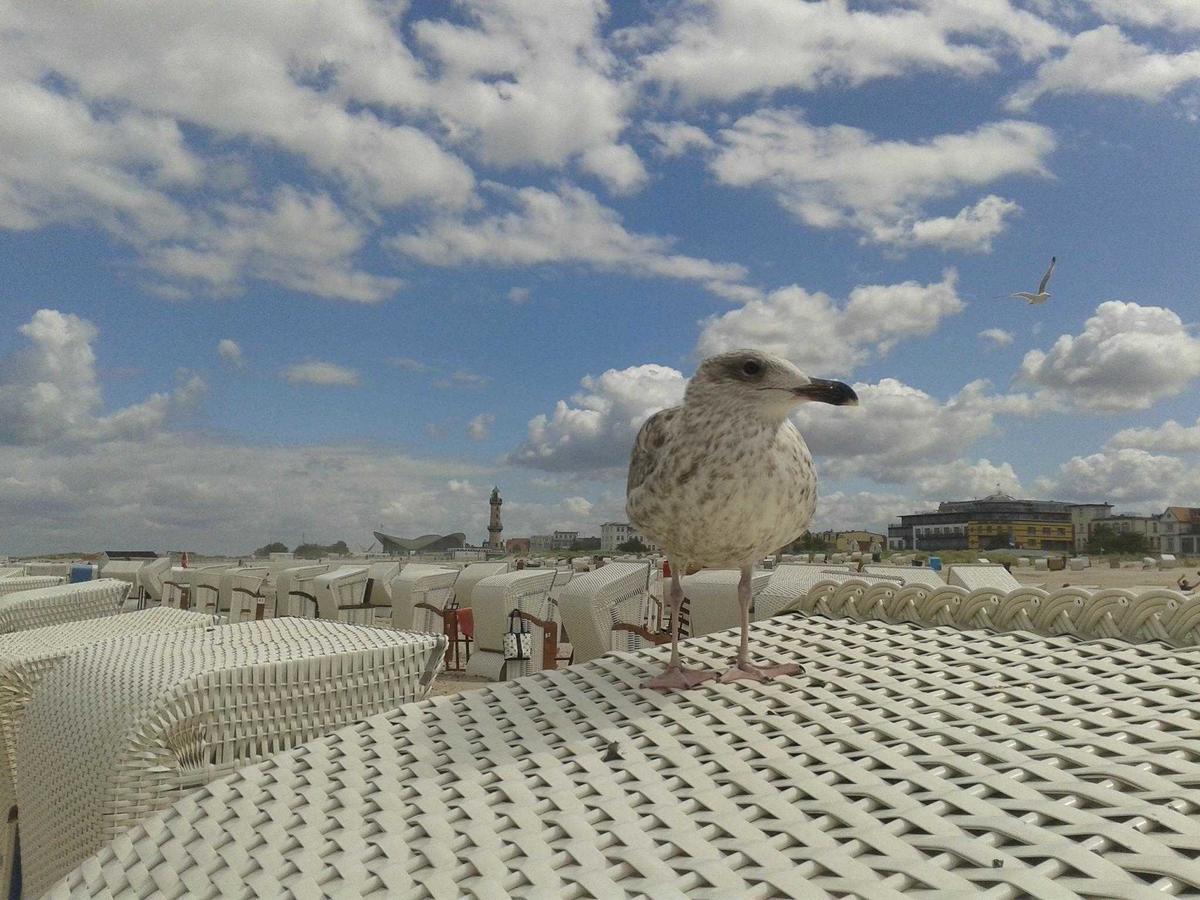 - Warnemünde - Objekt 89523 Apartment *